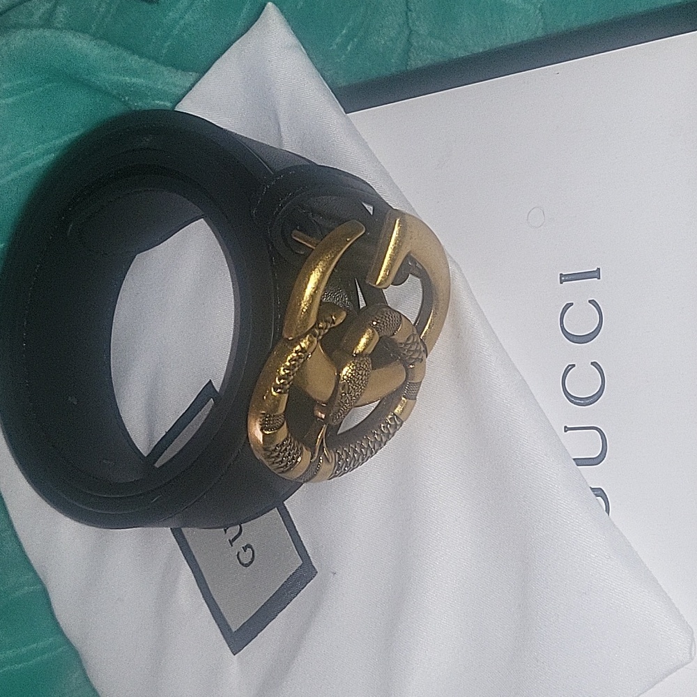 Gucci Snake Belt w/bag